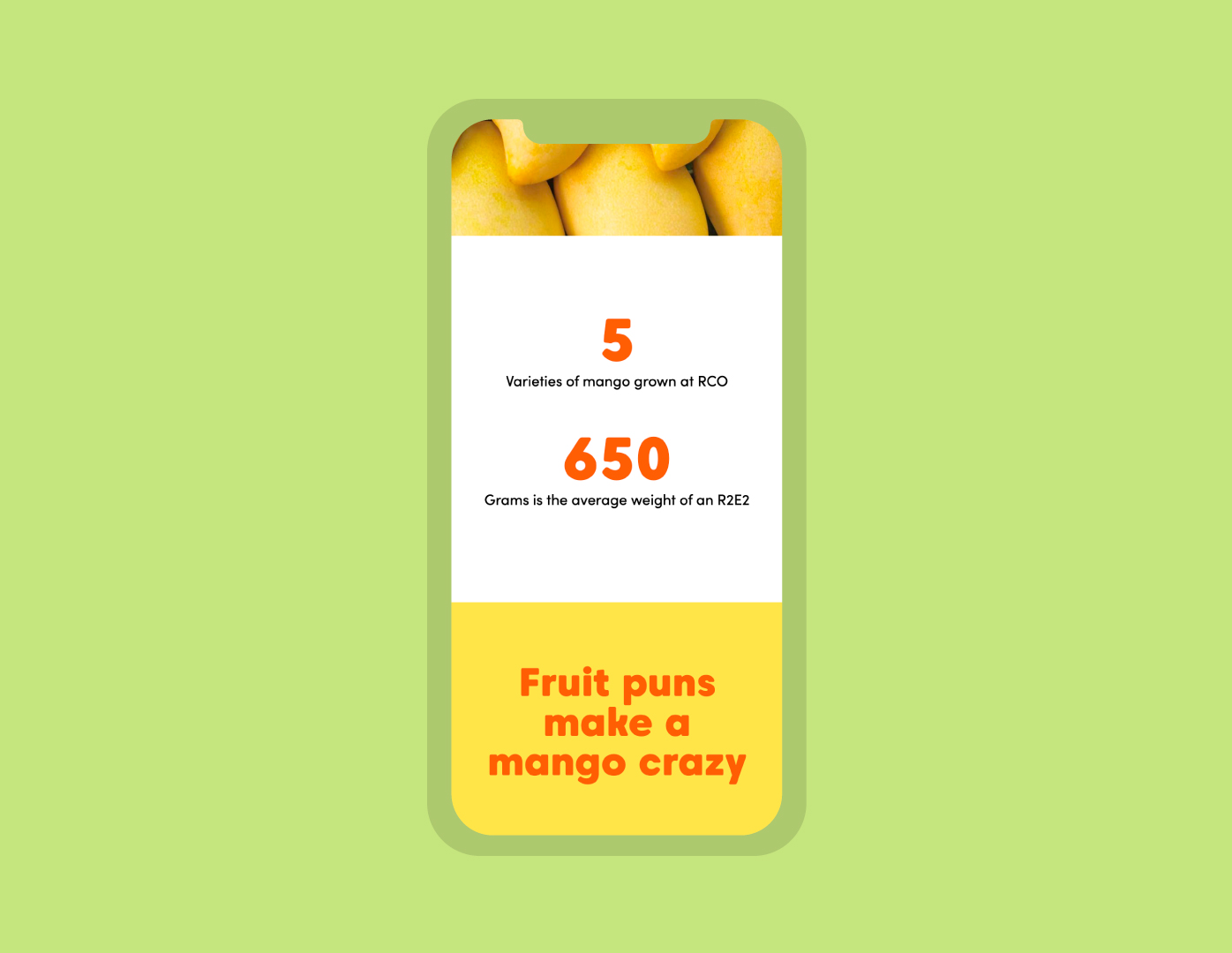 Rocky Creek Orchards website design mobile view