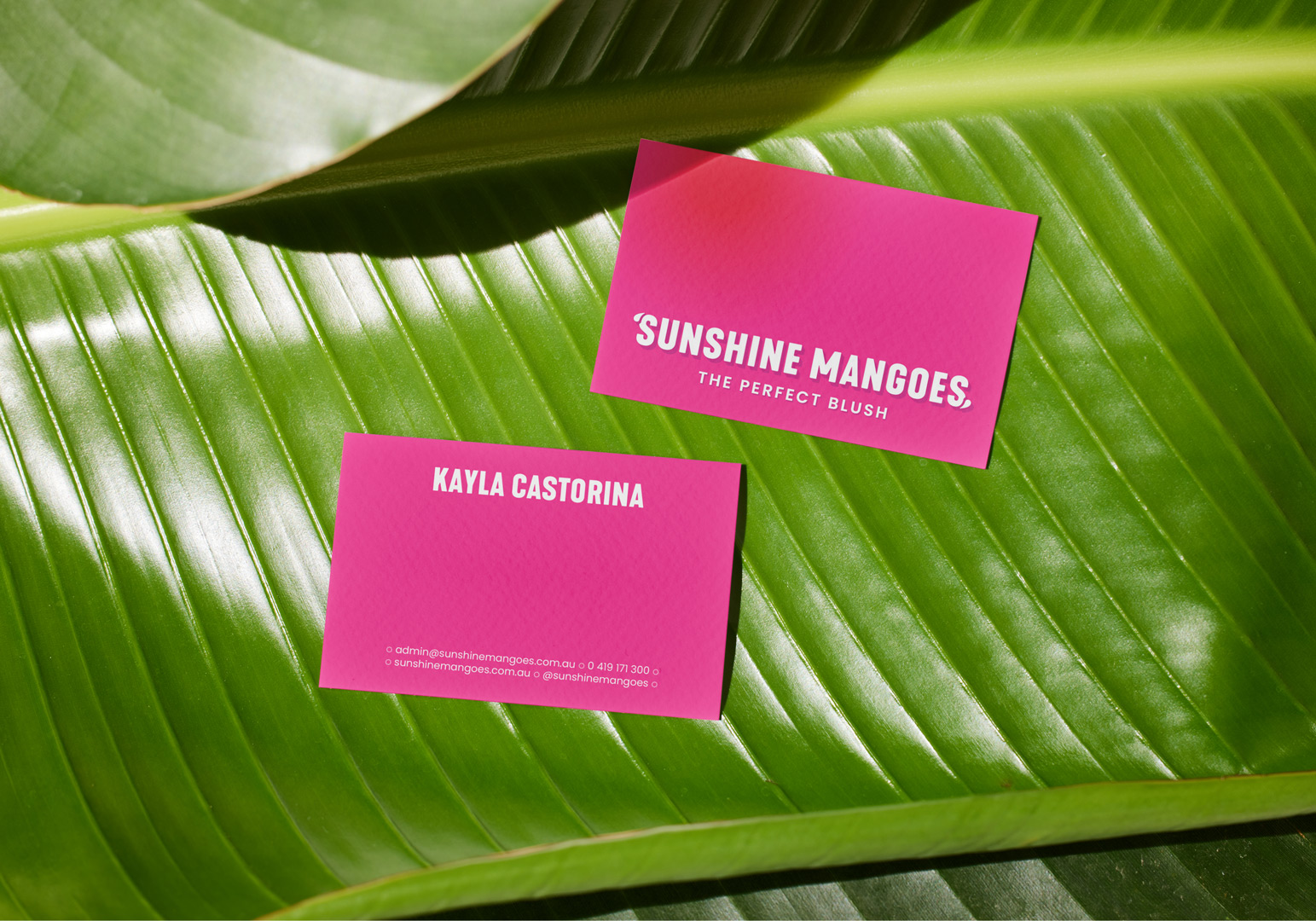 Sunshine Mangoes Business Cards displayed on tropical leaf