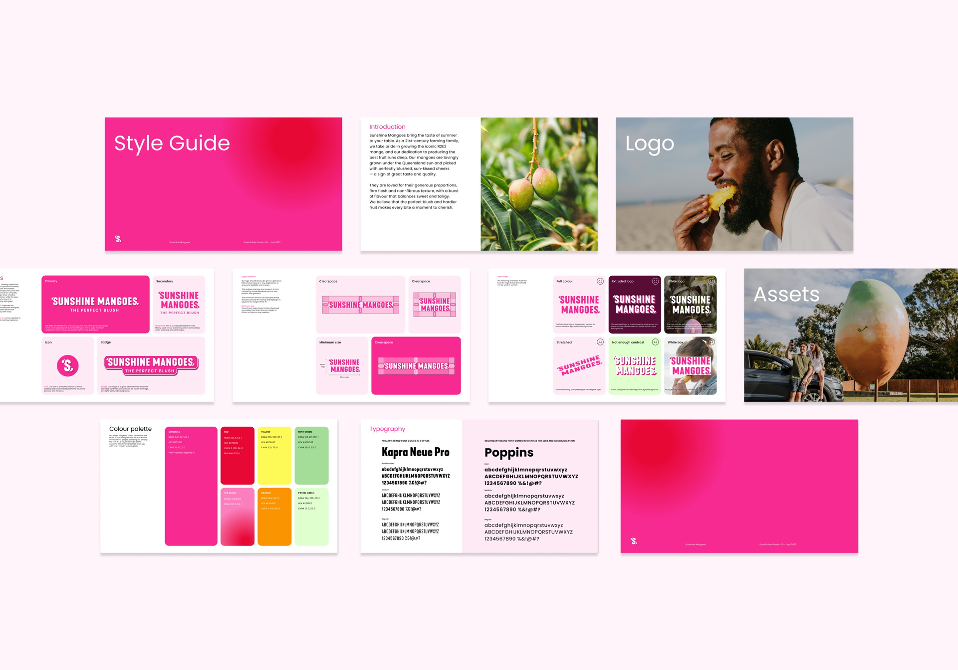 Overview of Sunshine Mangoes' 9 page style guide